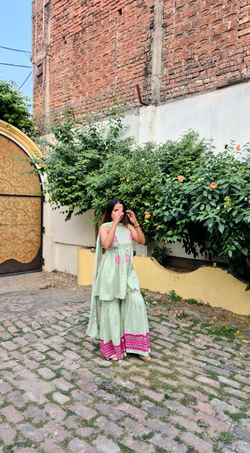 Pista Hand Painted Sharara set